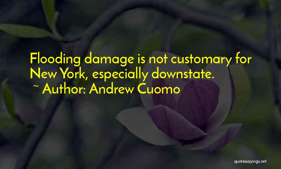 Andrew Cuomo Quotes: Flooding Damage Is Not Customary For New York, Especially Downstate.