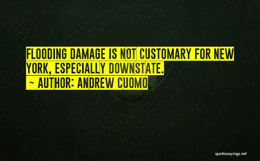 Andrew Cuomo Quotes: Flooding Damage Is Not Customary For New York, Especially Downstate.