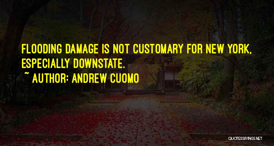 Andrew Cuomo Quotes: Flooding Damage Is Not Customary For New York, Especially Downstate.