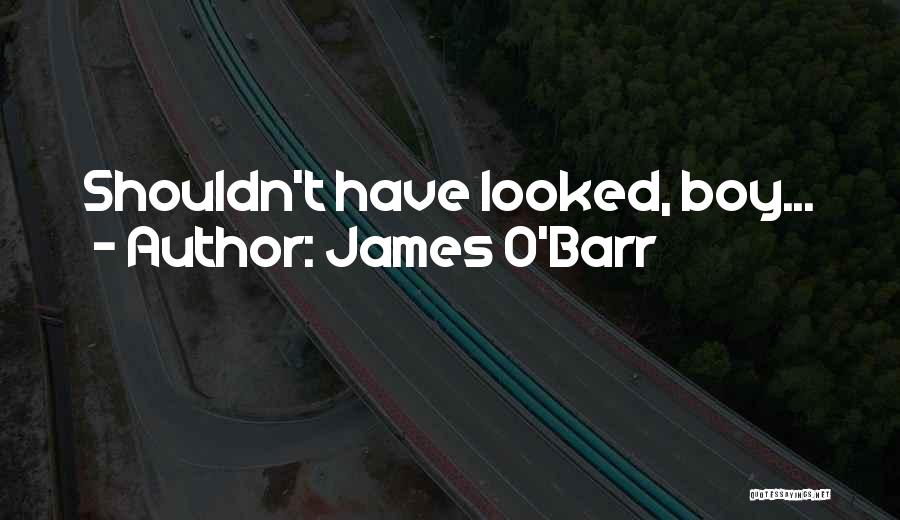 James O'Barr Quotes: Shouldn't Have Looked, Boy...