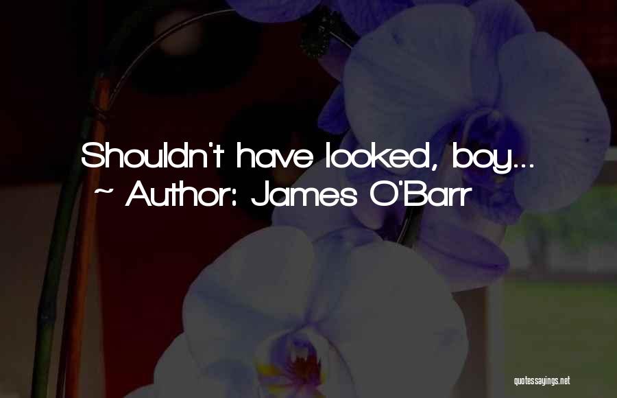 James O'Barr Quotes: Shouldn't Have Looked, Boy...