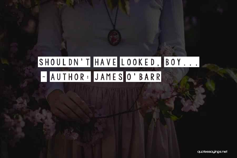 James O'Barr Quotes: Shouldn't Have Looked, Boy...