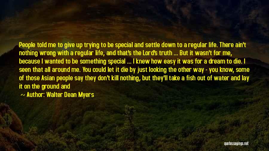 Walter Dean Myers Quotes: People Told Me To Give Up Trying To Be Special And Settle Down To A Regular Life. There Ain't Nothing