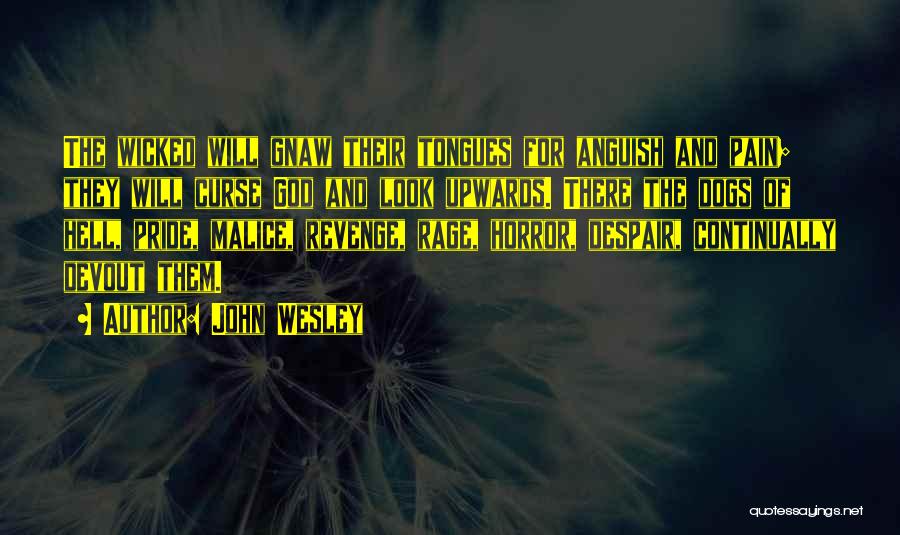 John Wesley Quotes: The Wicked Will Gnaw Their Tongues For Anguish And Pain; They Will Curse God And Look Upwards. There The Dogs