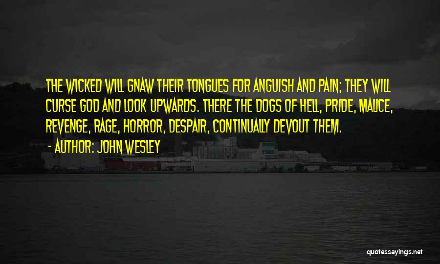 John Wesley Quotes: The Wicked Will Gnaw Their Tongues For Anguish And Pain; They Will Curse God And Look Upwards. There The Dogs