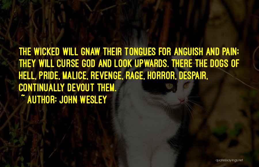 John Wesley Quotes: The Wicked Will Gnaw Their Tongues For Anguish And Pain; They Will Curse God And Look Upwards. There The Dogs