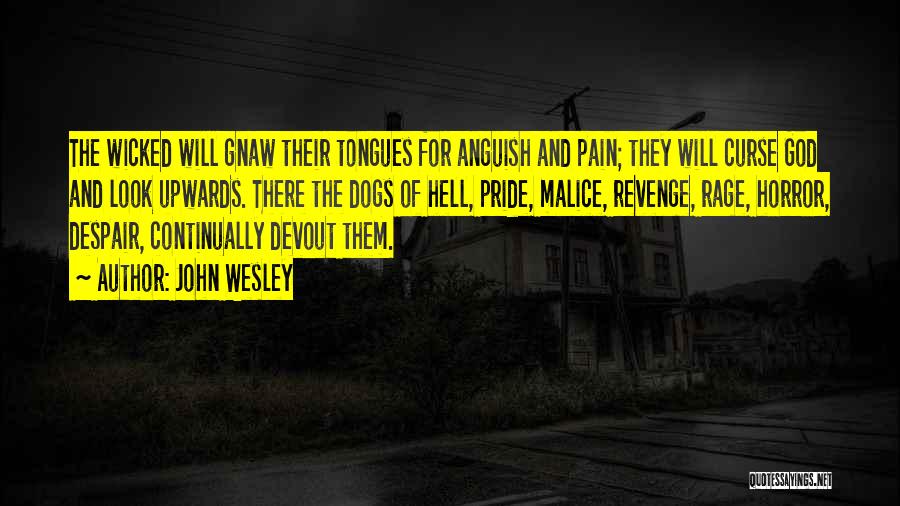 John Wesley Quotes: The Wicked Will Gnaw Their Tongues For Anguish And Pain; They Will Curse God And Look Upwards. There The Dogs
