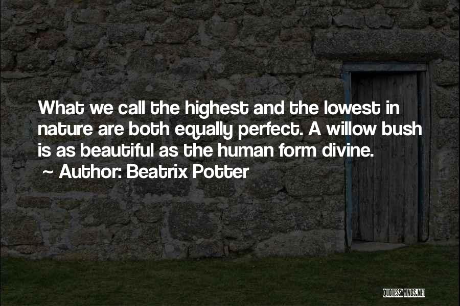 Beatrix Potter Quotes: What We Call The Highest And The Lowest In Nature Are Both Equally Perfect. A Willow Bush Is As Beautiful