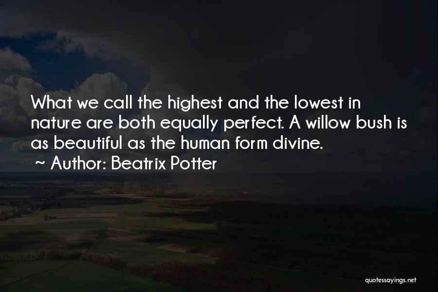 Beatrix Potter Quotes: What We Call The Highest And The Lowest In Nature Are Both Equally Perfect. A Willow Bush Is As Beautiful