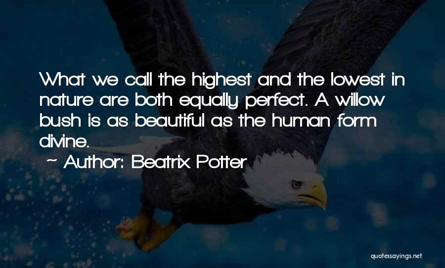 Beatrix Potter Quotes: What We Call The Highest And The Lowest In Nature Are Both Equally Perfect. A Willow Bush Is As Beautiful