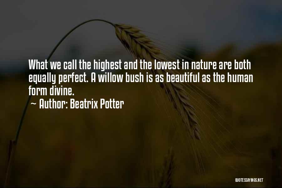Beatrix Potter Quotes: What We Call The Highest And The Lowest In Nature Are Both Equally Perfect. A Willow Bush Is As Beautiful