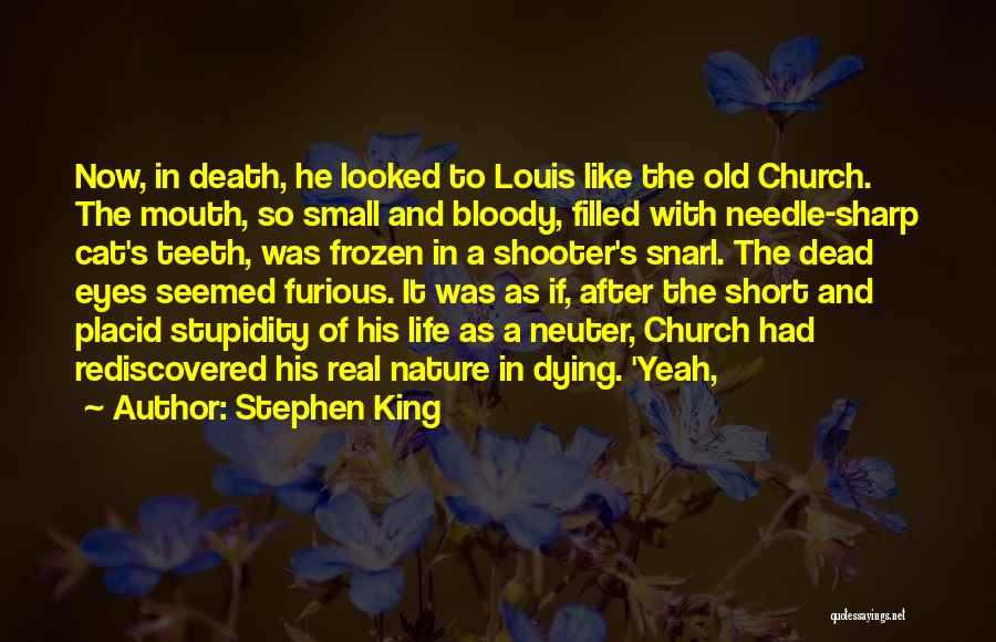 Stephen King Quotes: Now, In Death, He Looked To Louis Like The Old Church. The Mouth, So Small And Bloody, Filled With Needle-sharp