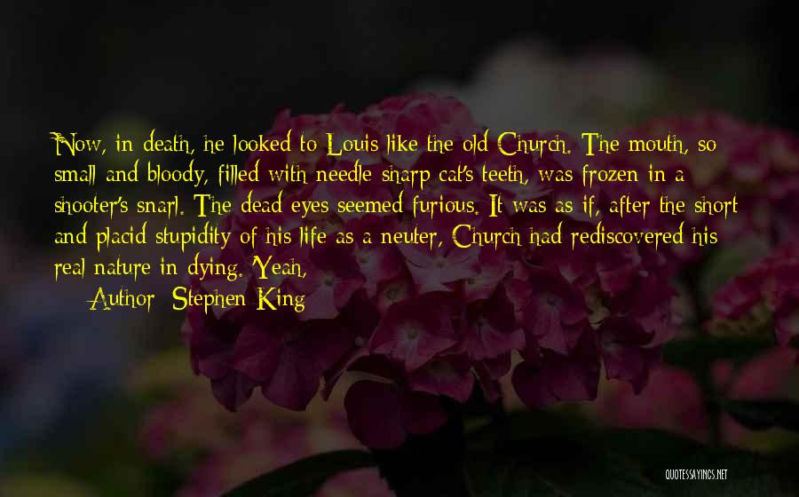 Stephen King Quotes: Now, In Death, He Looked To Louis Like The Old Church. The Mouth, So Small And Bloody, Filled With Needle-sharp