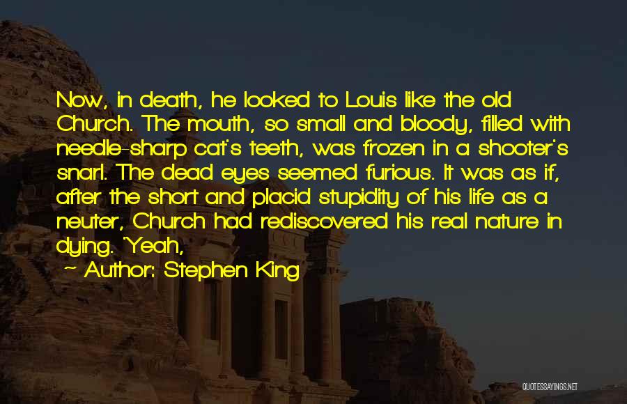 Stephen King Quotes: Now, In Death, He Looked To Louis Like The Old Church. The Mouth, So Small And Bloody, Filled With Needle-sharp