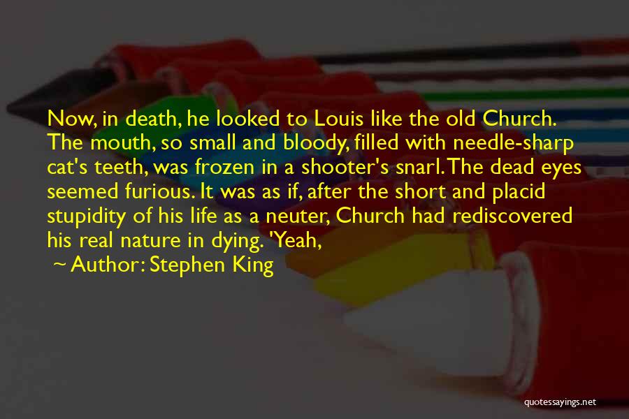 Stephen King Quotes: Now, In Death, He Looked To Louis Like The Old Church. The Mouth, So Small And Bloody, Filled With Needle-sharp