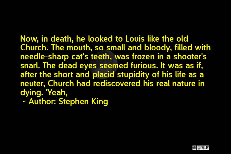 Stephen King Quotes: Now, In Death, He Looked To Louis Like The Old Church. The Mouth, So Small And Bloody, Filled With Needle-sharp