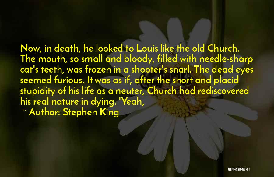 Stephen King Quotes: Now, In Death, He Looked To Louis Like The Old Church. The Mouth, So Small And Bloody, Filled With Needle-sharp