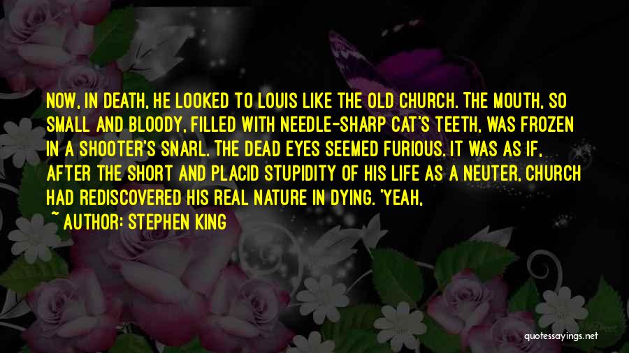 Stephen King Quotes: Now, In Death, He Looked To Louis Like The Old Church. The Mouth, So Small And Bloody, Filled With Needle-sharp