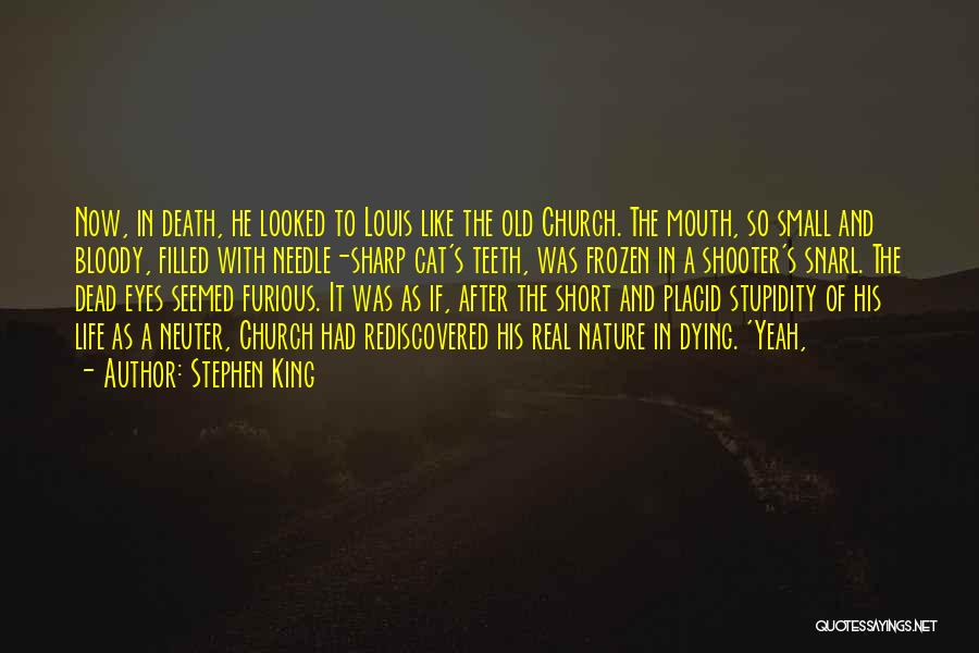 Stephen King Quotes: Now, In Death, He Looked To Louis Like The Old Church. The Mouth, So Small And Bloody, Filled With Needle-sharp