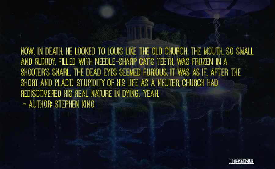 Stephen King Quotes: Now, In Death, He Looked To Louis Like The Old Church. The Mouth, So Small And Bloody, Filled With Needle-sharp