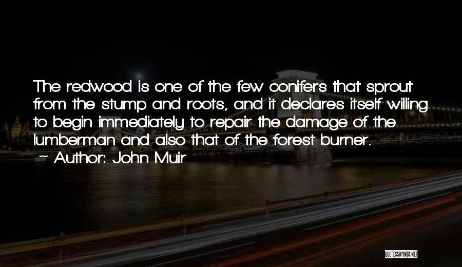 John Muir Quotes: The Redwood Is One Of The Few Conifers That Sprout From The Stump And Roots, And It Declares Itself Willing