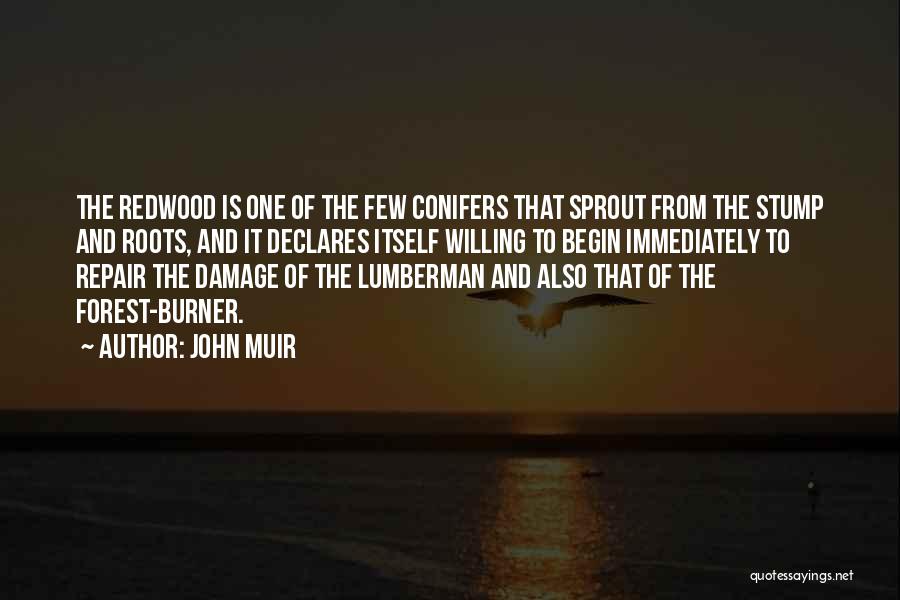 John Muir Quotes: The Redwood Is One Of The Few Conifers That Sprout From The Stump And Roots, And It Declares Itself Willing