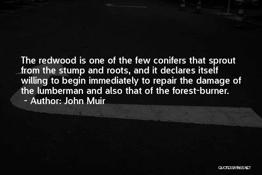 John Muir Quotes: The Redwood Is One Of The Few Conifers That Sprout From The Stump And Roots, And It Declares Itself Willing
