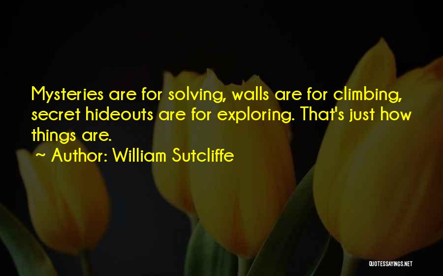 William Sutcliffe Quotes: Mysteries Are For Solving, Walls Are For Climbing, Secret Hideouts Are For Exploring. That's Just How Things Are.