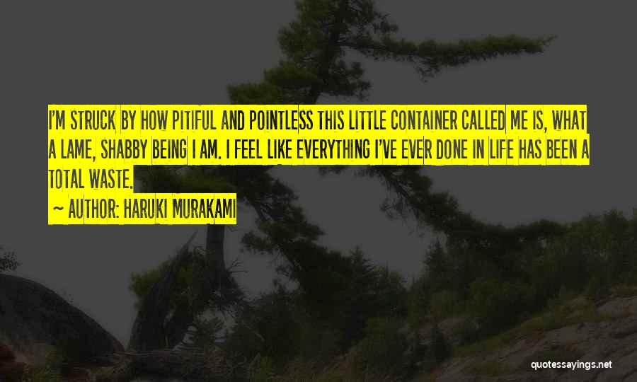 Haruki Murakami Quotes: I'm Struck By How Pitiful And Pointless This Little Container Called Me Is, What A Lame, Shabby Being I Am.