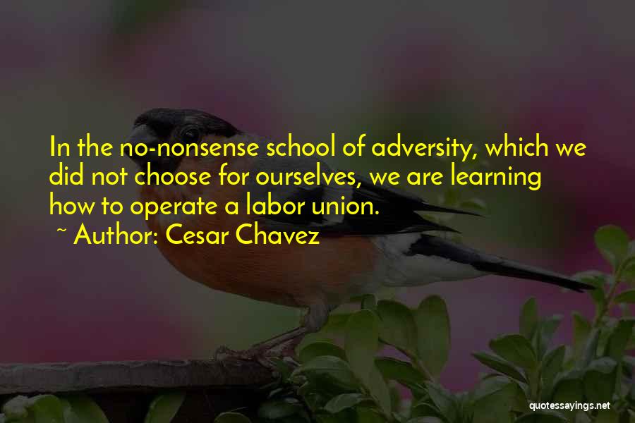 Cesar Chavez Quotes: In The No-nonsense School Of Adversity, Which We Did Not Choose For Ourselves, We Are Learning How To Operate A