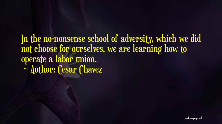 Cesar Chavez Quotes: In The No-nonsense School Of Adversity, Which We Did Not Choose For Ourselves, We Are Learning How To Operate A