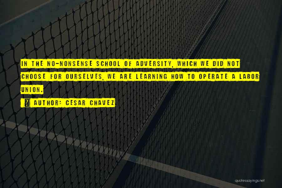 Cesar Chavez Quotes: In The No-nonsense School Of Adversity, Which We Did Not Choose For Ourselves, We Are Learning How To Operate A