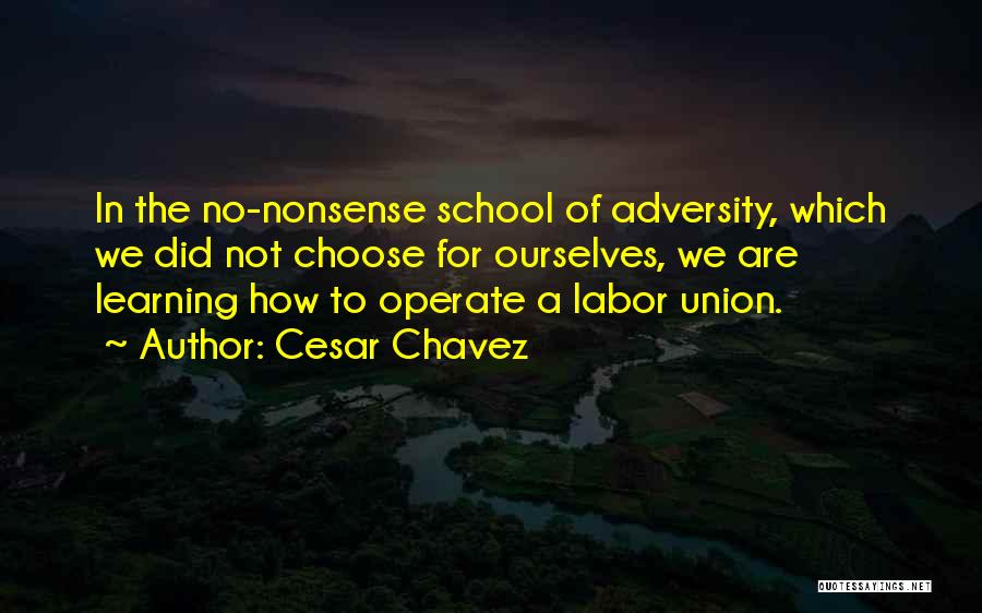 Cesar Chavez Quotes: In The No-nonsense School Of Adversity, Which We Did Not Choose For Ourselves, We Are Learning How To Operate A