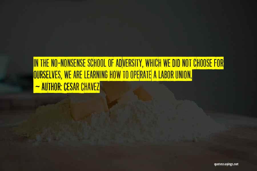 Cesar Chavez Quotes: In The No-nonsense School Of Adversity, Which We Did Not Choose For Ourselves, We Are Learning How To Operate A