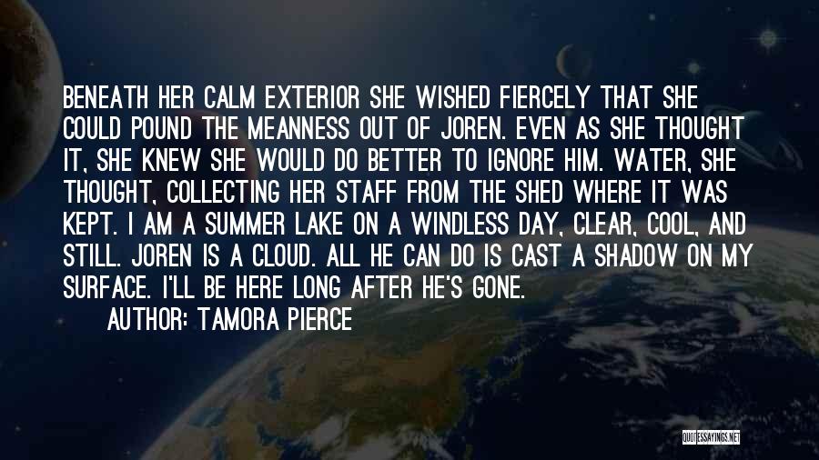 Tamora Pierce Quotes: Beneath Her Calm Exterior She Wished Fiercely That She Could Pound The Meanness Out Of Joren. Even As She Thought