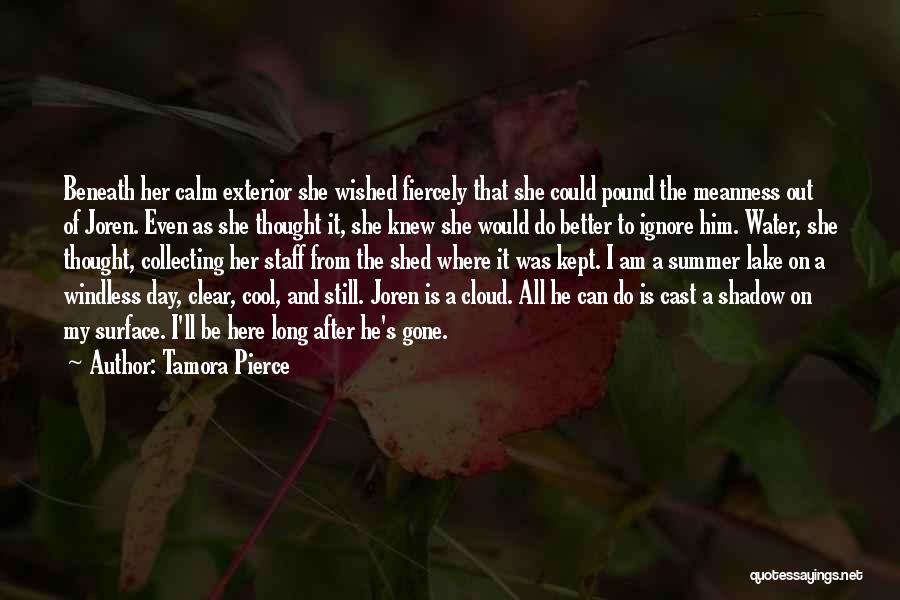 Tamora Pierce Quotes: Beneath Her Calm Exterior She Wished Fiercely That She Could Pound The Meanness Out Of Joren. Even As She Thought