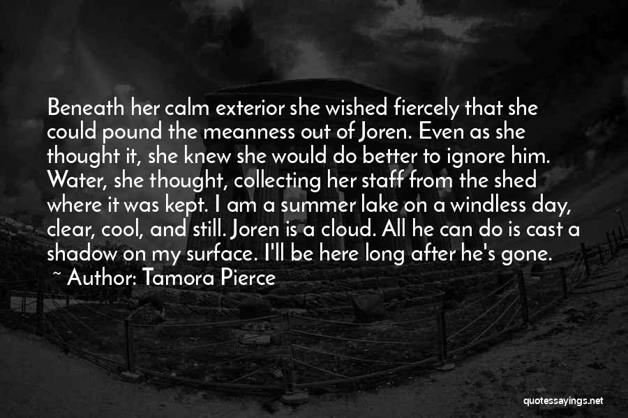 Tamora Pierce Quotes: Beneath Her Calm Exterior She Wished Fiercely That She Could Pound The Meanness Out Of Joren. Even As She Thought