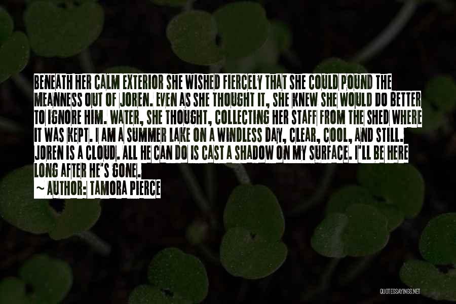 Tamora Pierce Quotes: Beneath Her Calm Exterior She Wished Fiercely That She Could Pound The Meanness Out Of Joren. Even As She Thought