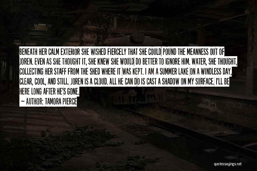 Tamora Pierce Quotes: Beneath Her Calm Exterior She Wished Fiercely That She Could Pound The Meanness Out Of Joren. Even As She Thought