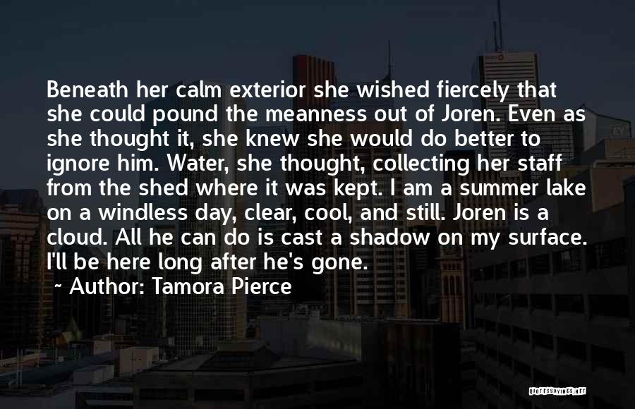 Tamora Pierce Quotes: Beneath Her Calm Exterior She Wished Fiercely That She Could Pound The Meanness Out Of Joren. Even As She Thought