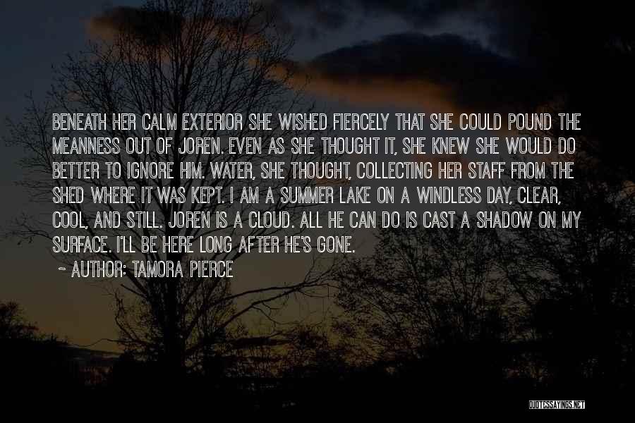 Tamora Pierce Quotes: Beneath Her Calm Exterior She Wished Fiercely That She Could Pound The Meanness Out Of Joren. Even As She Thought