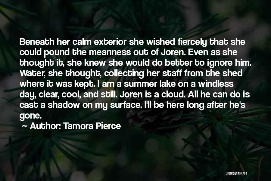 Tamora Pierce Quotes: Beneath Her Calm Exterior She Wished Fiercely That She Could Pound The Meanness Out Of Joren. Even As She Thought