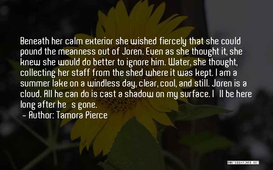 Tamora Pierce Quotes: Beneath Her Calm Exterior She Wished Fiercely That She Could Pound The Meanness Out Of Joren. Even As She Thought