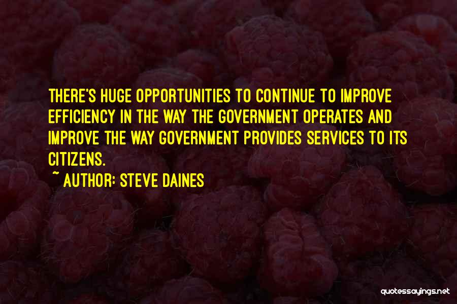 Steve Daines Quotes: There's Huge Opportunities To Continue To Improve Efficiency In The Way The Government Operates And Improve The Way Government Provides