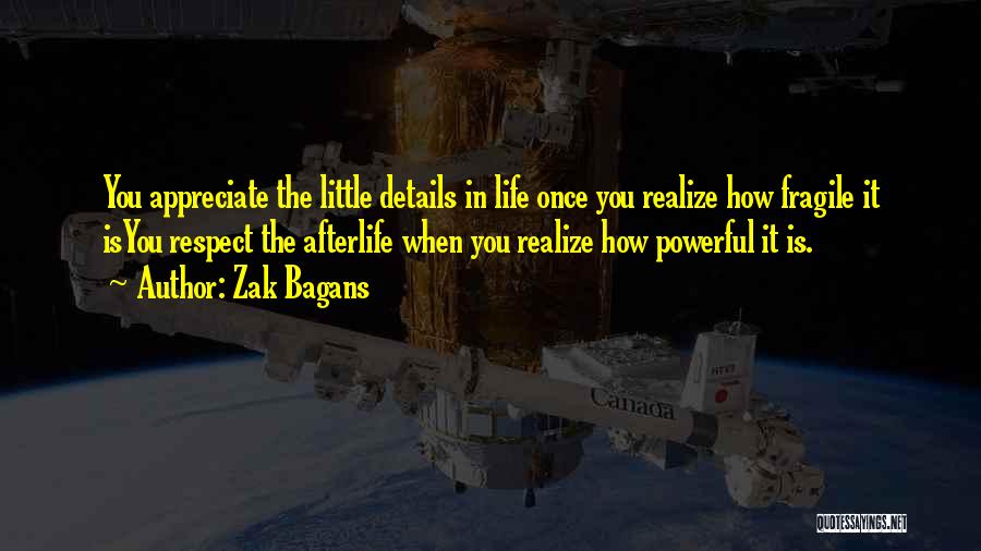 Zak Bagans Quotes: You Appreciate The Little Details In Life Once You Realize How Fragile It Isyou Respect The Afterlife When You Realize