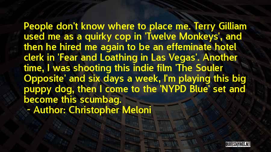 Christopher Meloni Quotes: People Don't Know Where To Place Me. Terry Gilliam Used Me As A Quirky Cop In 'twelve Monkeys', And Then