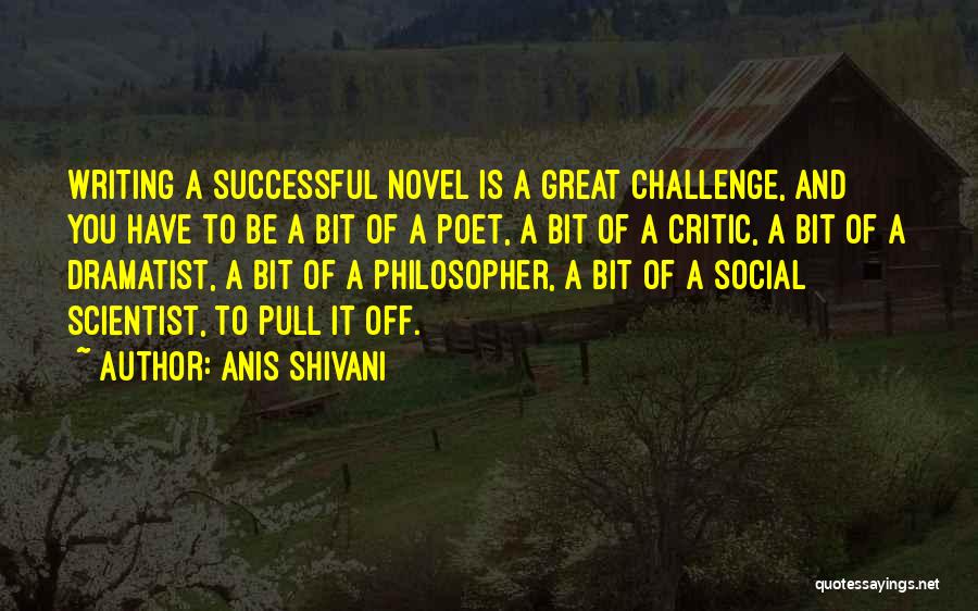 Anis Shivani Quotes: Writing A Successful Novel Is A Great Challenge, And You Have To Be A Bit Of A Poet, A Bit