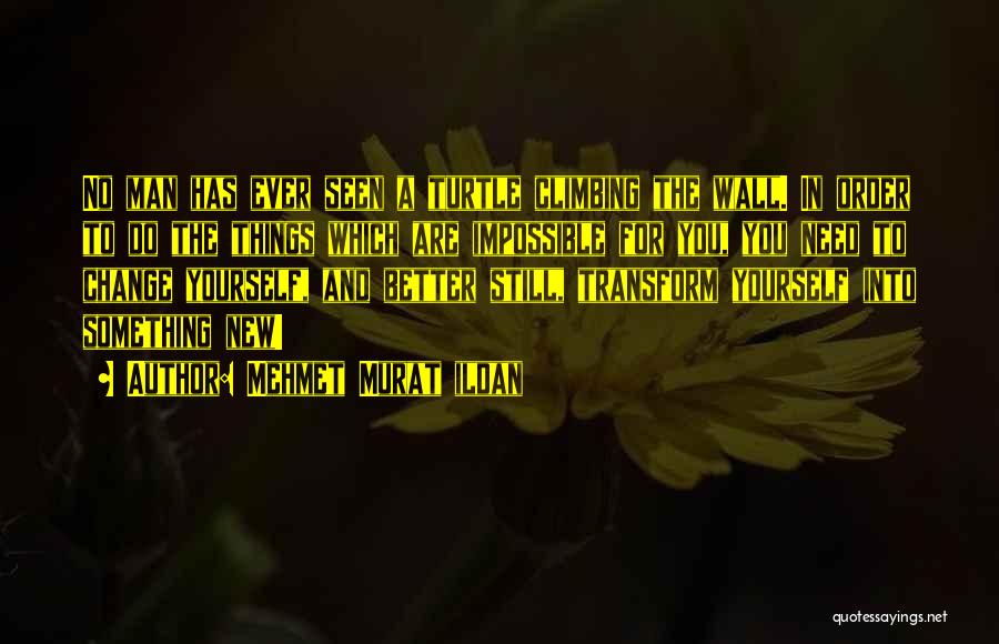 Mehmet Murat Ildan Quotes: No Man Has Ever Seen A Turtle Climbing The Wall. In Order To Do The Things Which Are Impossible For