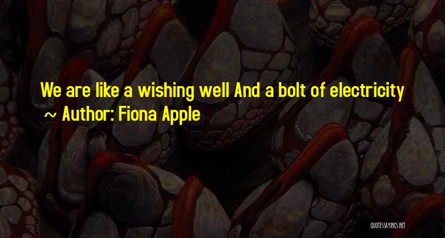 Fiona Apple Quotes: We Are Like A Wishing Well And A Bolt Of Electricity