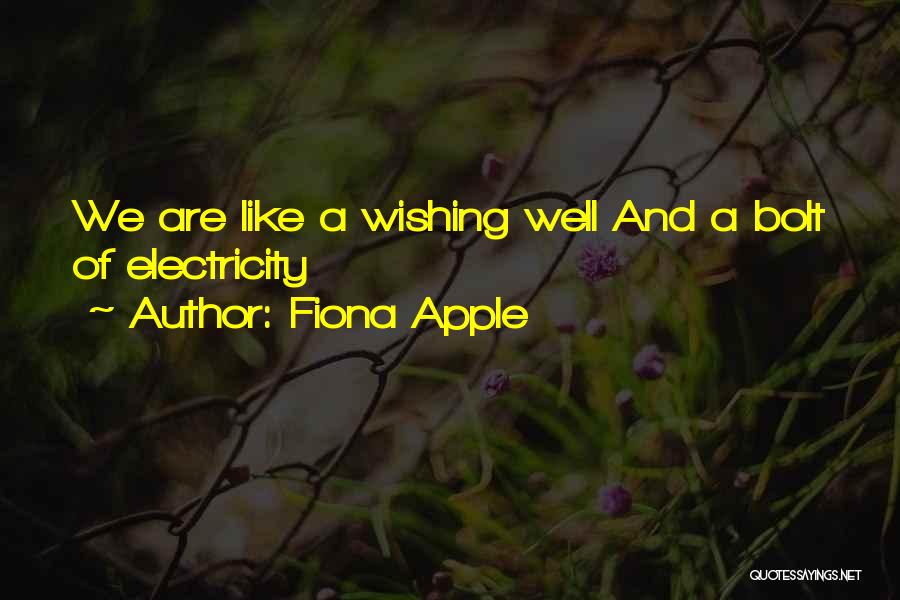 Fiona Apple Quotes: We Are Like A Wishing Well And A Bolt Of Electricity